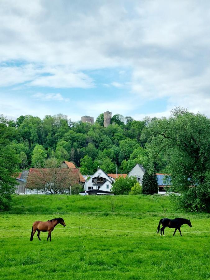 Ferienhaus Diemelaue Mit Klimaanlage Bad Karlshafen Dış mekan fotoğraf